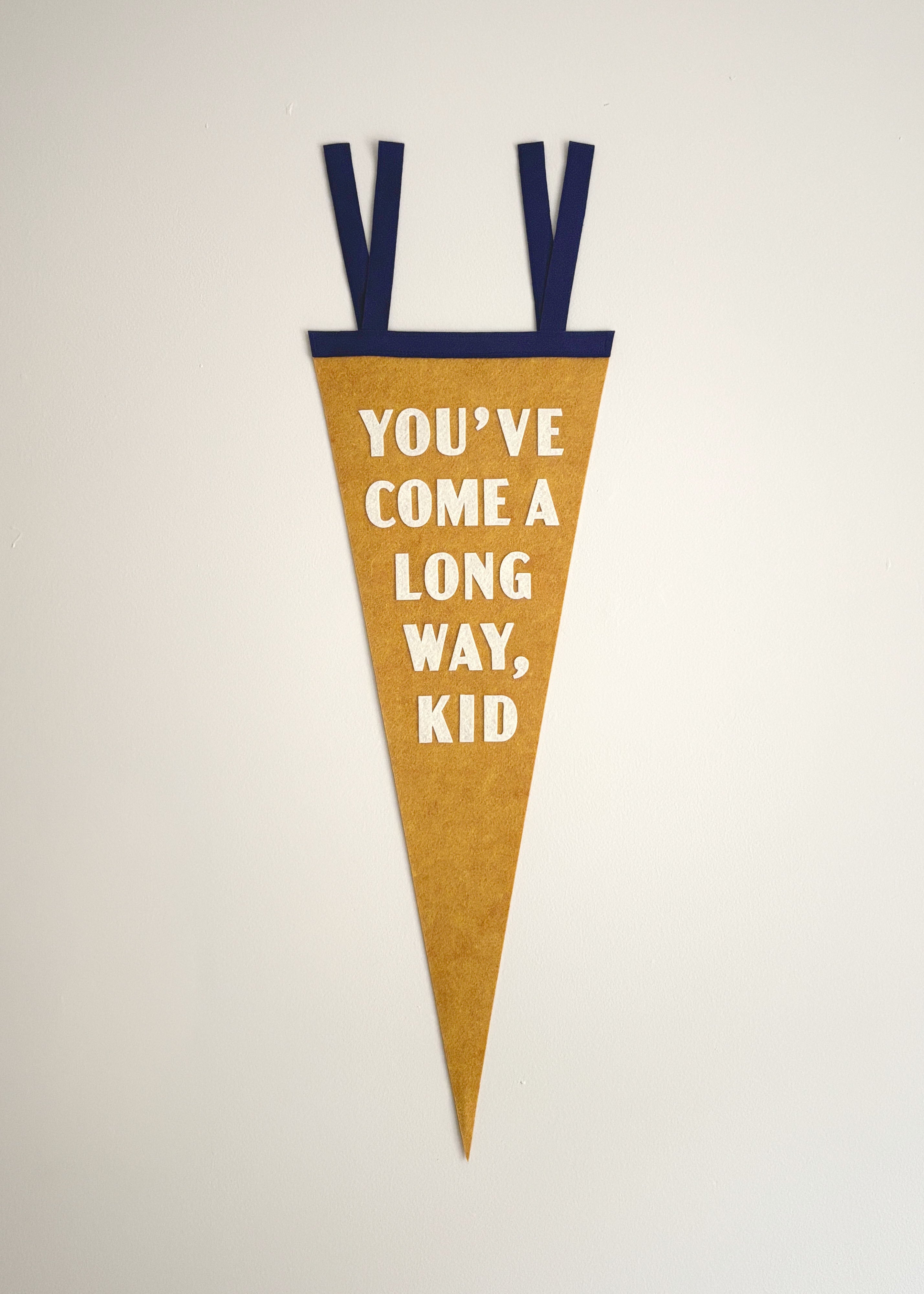 You've Come A Long Way Kid Pennant