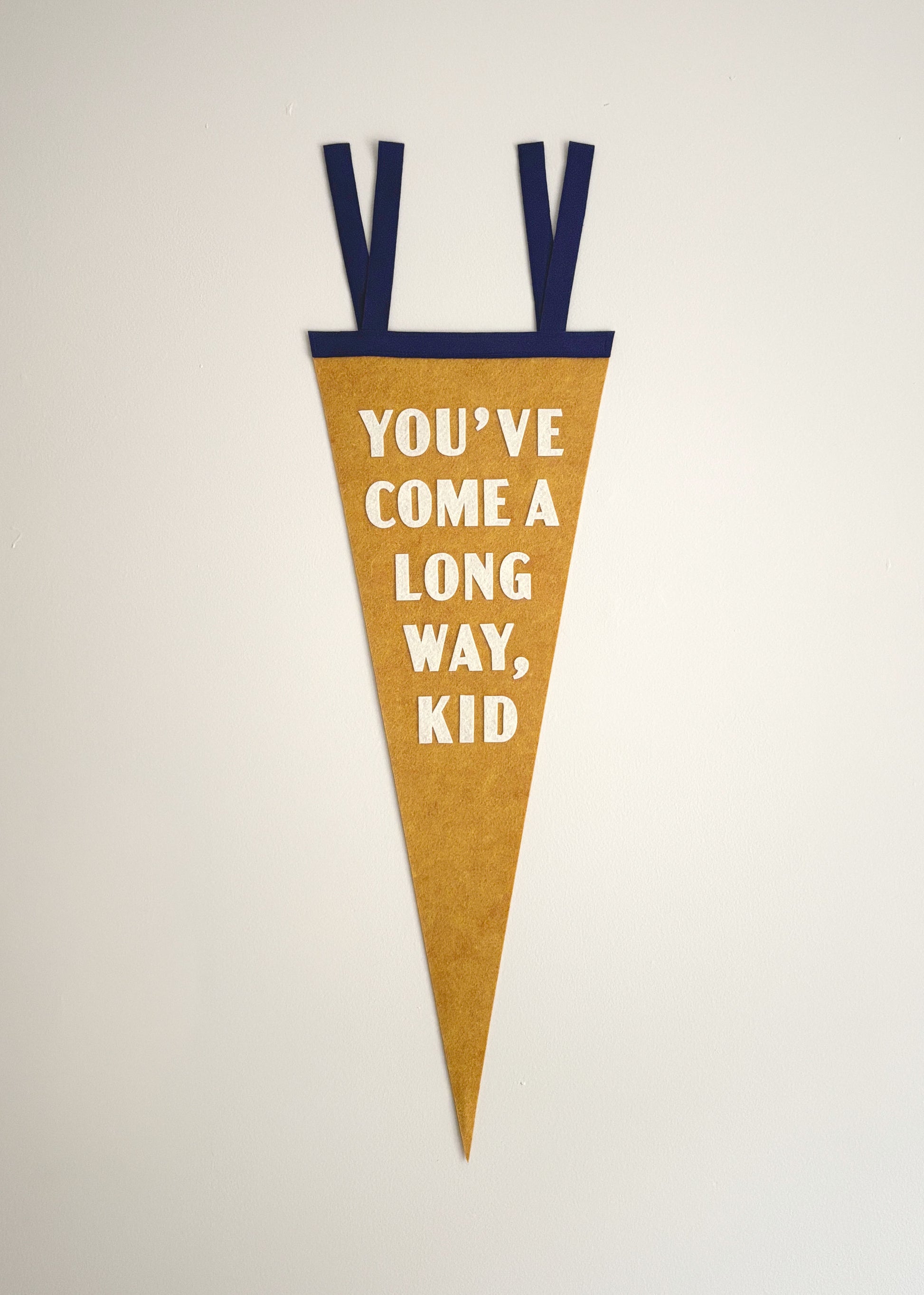 You've Come A Long Way Kid Pennant