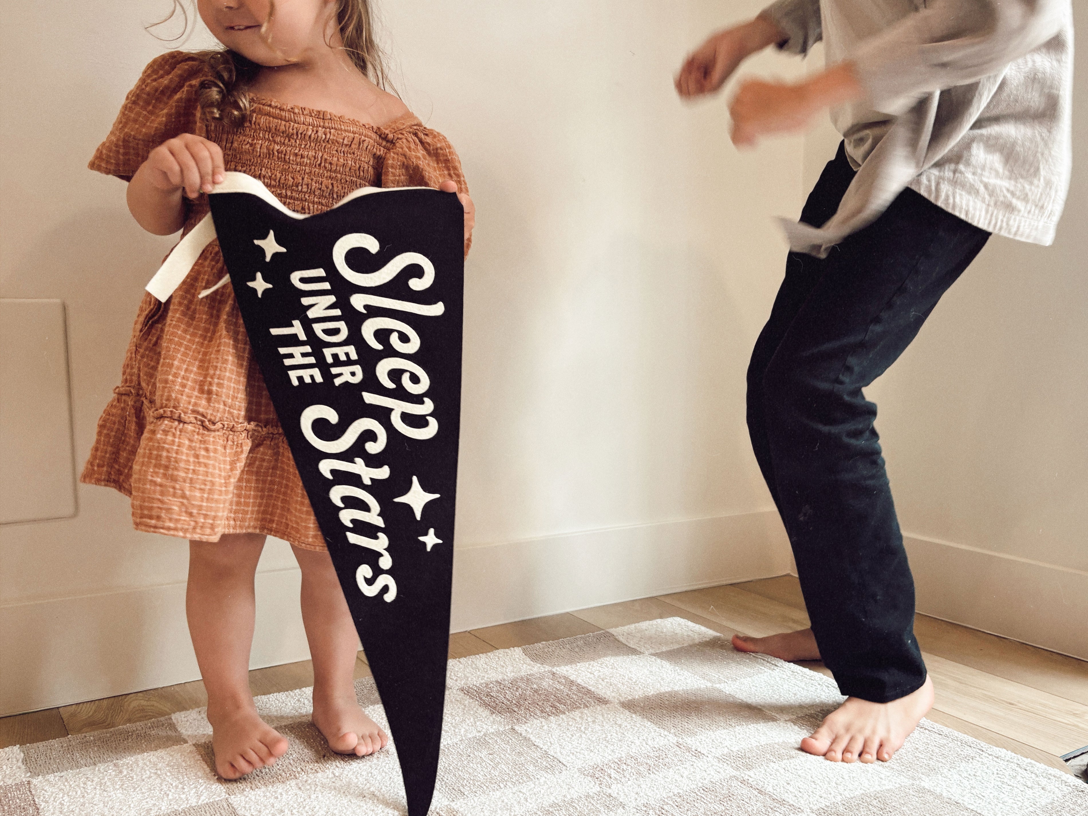 Sleep Under The Stars Pennant